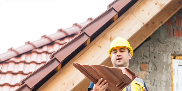 Démoussage en cours